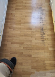 2024 Schleifen Massivparkett 01